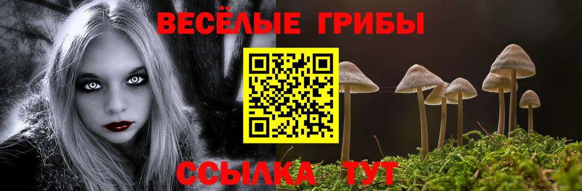 Псилоцибиновые грибы мицелий Чайковский