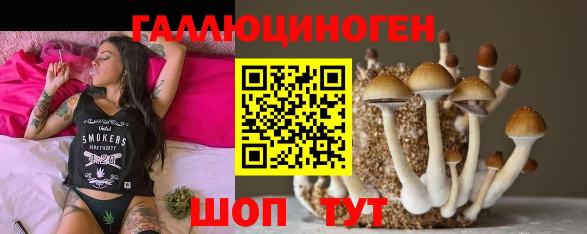 Чайковский  Псилоцибиновые грибы ЛСД  Псилоцибиновые грибы Psilocybine cubensis  Вход с VPN 